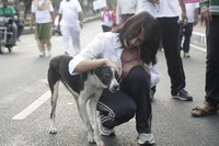 Celebs at Pink Ribbon Walk 2012 Photos